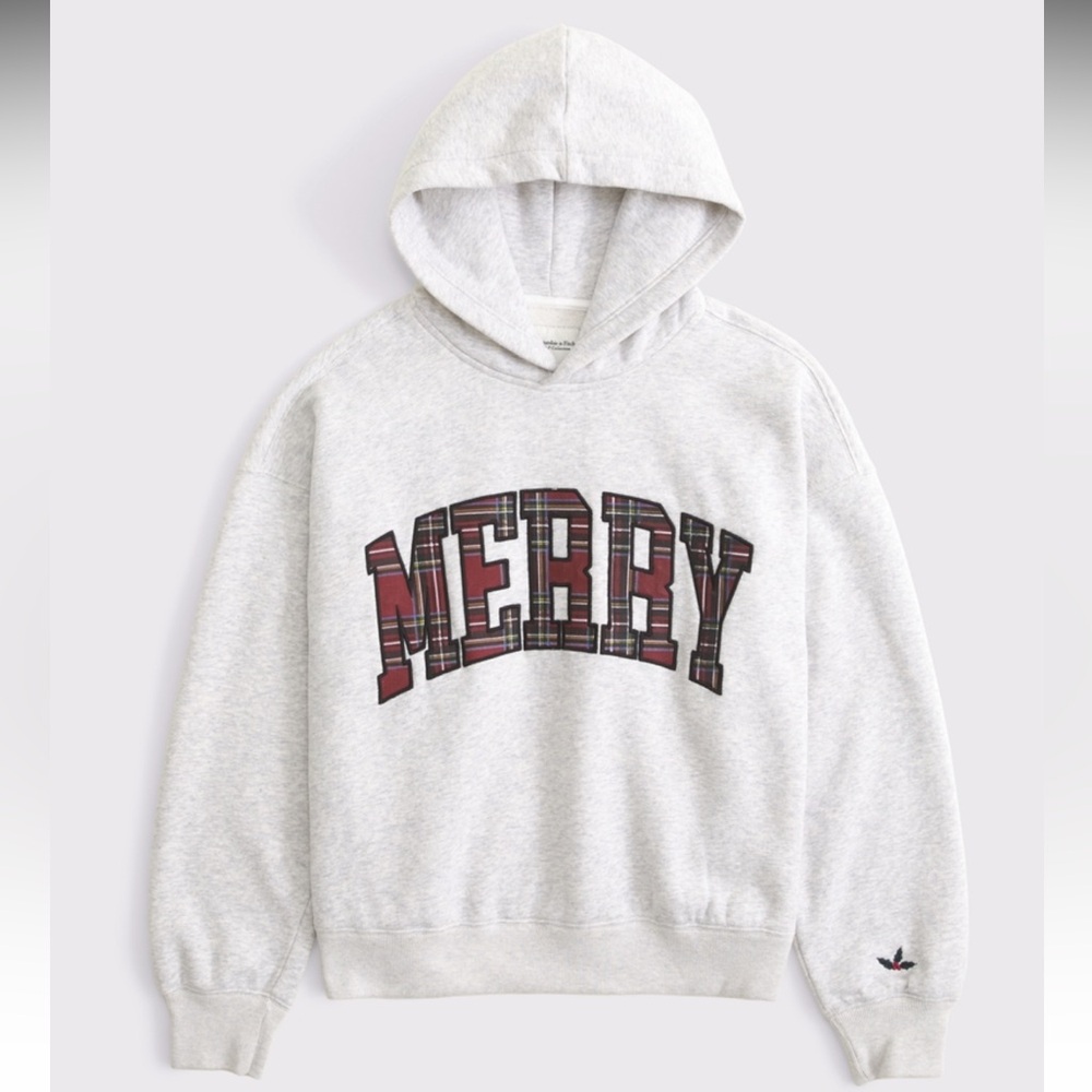 Abercrombie & Fitch Merry Sunday Hoodie